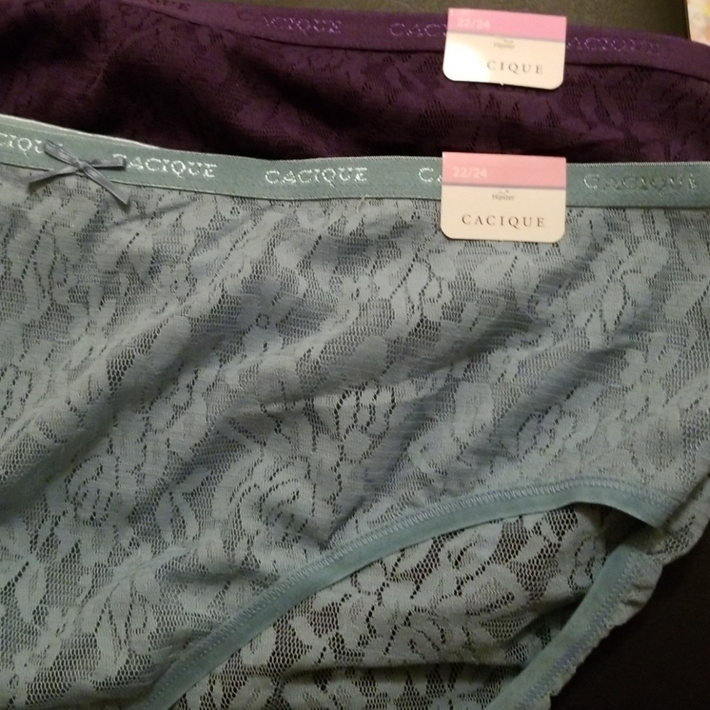 Lane Bryant Hipster undies